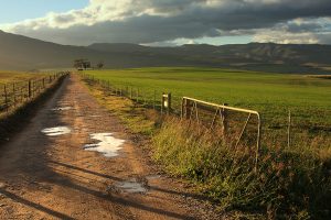 farm-track-300x200 MMW — farm track 300x200