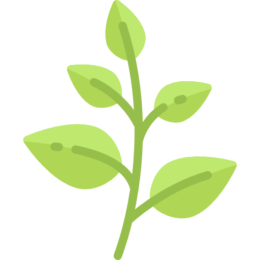 MMW — herb